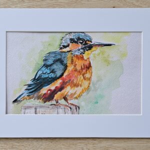 Ice, Ice birdy ( SOLD)